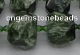 CNG5278 15.5 inches 13*18mm - 15*25mm faceted nuggets seraphinite beads