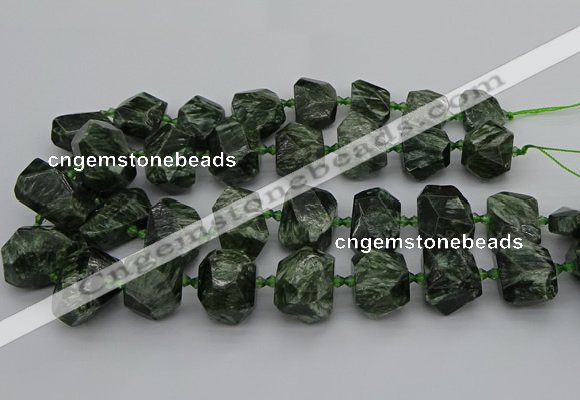 CNG5278 15.5 inches 13*18mm - 15*25mm faceted nuggets seraphinite beads