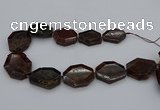 CNG5313 15.5 inches 20*30mm - 35*45mm freeform orange garnet beads