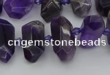 CNG5365 15.5 inches 12*16mm - 15*25mm faceted nuggets amethyst beads