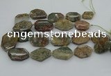 CNG5406 20*30mm - 35*45mm faceted freeform ghost gemstone beads