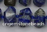 CNG5425 12*16mm - 15*20mm faceted nuggets lapis lazuli beads