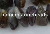 CNG5431 12*16mm - 20*28mm nuggets botswana agate gemstone beads