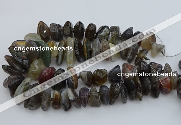 CNG5431 12*16mm - 20*28mm nuggets botswana agate gemstone beads