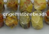 CNG5436 12*16mm - 15*20mm faceted nuggets crazy lace agate beads