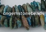 CNG5438 15.5 inches 3*10mm - 5*18mm nuggets apatite beads