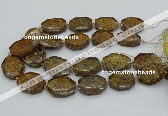 CNG5454 15.5 inches 20*30mm - 35*45mm faceted freeform opal beads