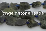 CNG5528 15.5 inches 10*14mm - 15*20mm nuggets labradorite beads