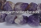 CNG5532 15.5 inches 10*14mm - 12*16mm nuggets dogtooth amethyst beads