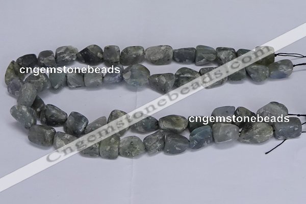 CNG5539 15.5 inches 10*14mm - 12*16mm nuggets labradorite beads