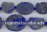 CNG5566 15.5 inches 12*16mm - 18*22mm freeform lapis lazuli beads