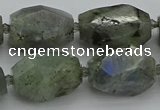 CNG5586 12*16mm - 15*25mm faceted nuggets labradorite beads