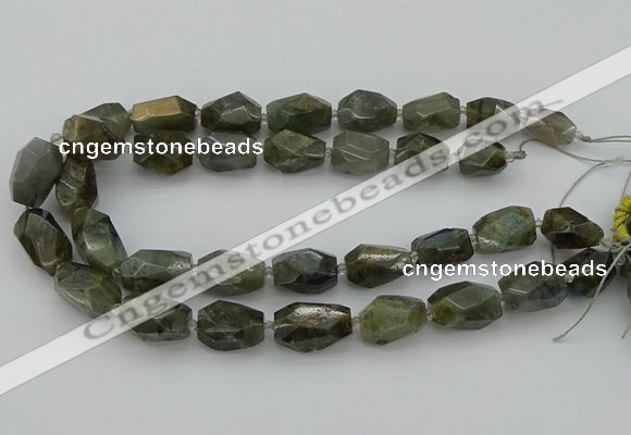 CNG5587 12*16mm - 15*25mm faceted nuggets labradorite beads