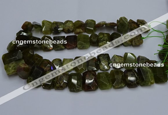 CNG5624 15.5 inches 15*20mm - 18*25mm faceted freeform green garnet beads