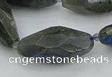 CNG5645 15.5 inches 15*35mm - 18*40mm faceted rice labradorite beads