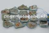 CNG5674 15.5 inches 30*40mm - 35*45mm freeform aquamarine beads