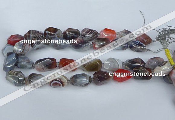 CNG5681 12*16mm - 15*25mm faceted nuggets botswana agate beads