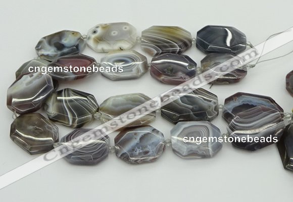 CNG5689 20*30mm - 35*45mm faceted freeform botswana agate beads