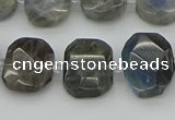 CNG5722 15.5 inches 12*16mm - 15*20mm faceted freeform labradorite beads