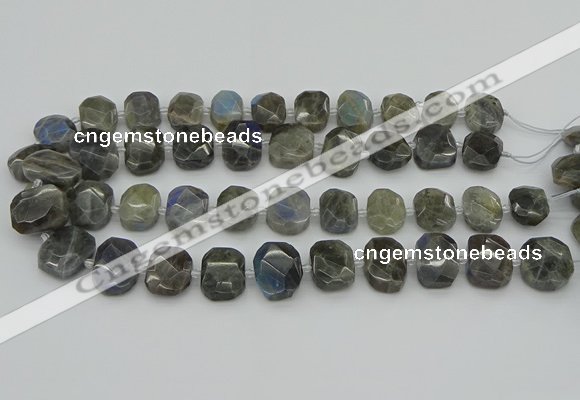 CNG5722 15.5 inches 12*16mm - 15*20mm faceted freeform labradorite beads