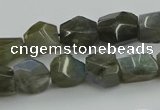 CNG5753 15.5 inches 10*12mm - 12*16mm faceted nuggets labradorite beads