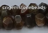 CNG5770 15.5 inches 12*16mm - 13*18mm faceted nuggets moonstone beads