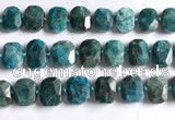 CNG5789 15.5 inches 13*18mm - 15*20mm faceted freeform apatite beads