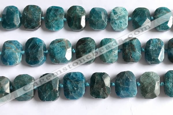 CNG5789 15.5 inches 13*18mm - 15*20mm faceted freeform apatite beads