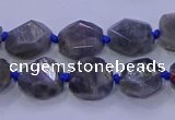 CNG5790 10*12mm - 10*14mm faceted freeform labradorite beads