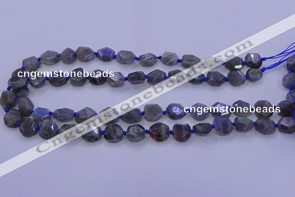 CNG5790 10*12mm - 10*14mm faceted freeform labradorite beads