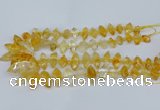 CNG5825 15.5 inches 8*18mm - 13*30mm freeform citrine beads