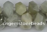 CNG5832 15.5 inches 12*16mm - 15*20mm faceted nuggets moonstone beads