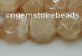 CNG5872 15.5 inches 8*12mm - 12*16mm faceted freeform moonstone beads