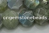 CNG5874 15.5 inches 8*12mm - 12*16mm faceted freeform labradorite beads