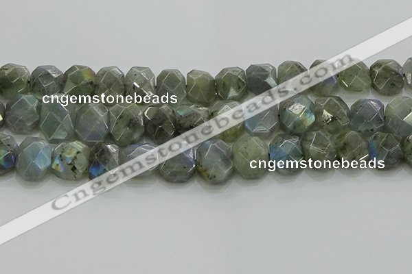 CNG5874 15.5 inches 8*12mm - 12*16mm faceted freeform labradorite beads