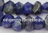 CNG5928 15.5 inches 10*14mm - 13*18mm faceted nuggets sodalite beads