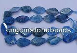 CNG5960 15.5 inches 18*25mm - 25*35mm faceted freeform apatite beads