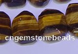 CNG6314 13*18mm - 15*20mm faceted freeform yellow tiger eye beads