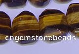 CNG6314 13*18mm - 15*20mm faceted freeform yellow tiger eye beads