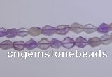 CNG6326 15.5 inches 14*18mm - 16*22mm freeform amethyst beads