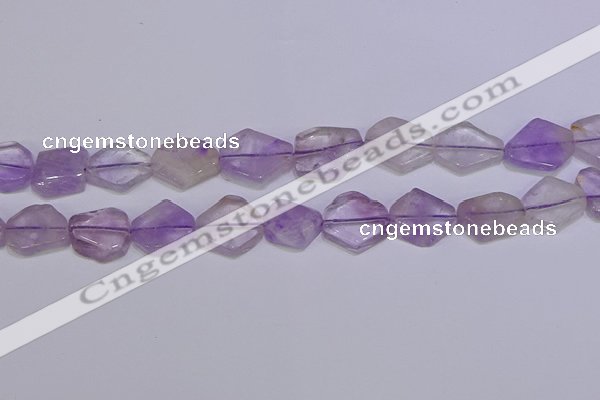 CNG6326 15.5 inches 14*18mm - 16*22mm freeform amethyst beads