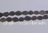 CNG6359 15.5 inches 14*18mm - 16*22mm freeform matte smoky quartz beads