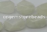 CNG6926 12*16mm - 15*25mm faceted nuggets white moonstone beads