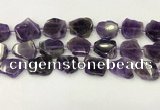 CNG6945 15.5 inches 20*20mm - 25*25mm freeform amethyst beads