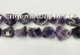 CNG6946 15.5 inches 22*25mm - 25*30mm freeform amethyst beads