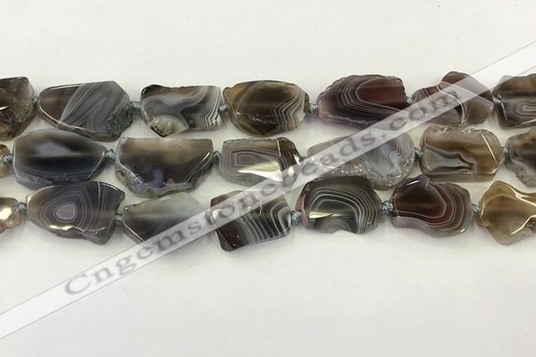 CNG6947 15.5 inches 18*20mm - 22*25mm freeform Botswana agate beads