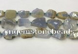 CNG6949 15.5 inches 22*30mm - 30*40mm freeform blue chalcedony beads