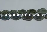 CNG7052 15.5 inches 25*35mm - 30*45mm freeform labradorite beads