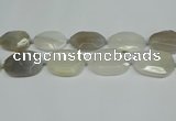 CNG7081 15.5 inches 25*35mm - 35*45mm faceted freeform agate beads