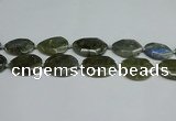 CNG7098 25*35mm - 35*45mm faceted freeform labradorite beads